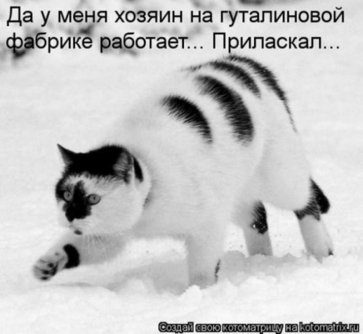 Юмор+котоматрица