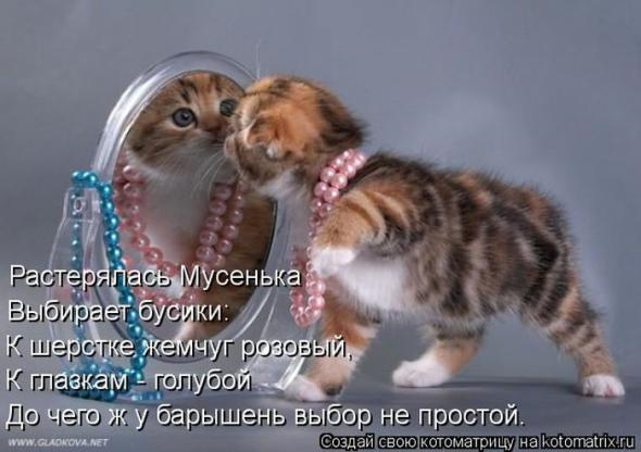 Юмор+котоматрица