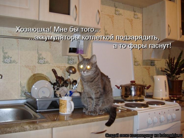 Юмор, позитифффчик на сон грядущий