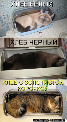 Юмор, позитифффчик на сон грядущий