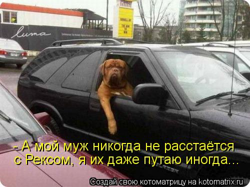 Юмор, позитифффчик на сон грядущий