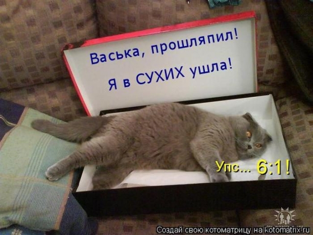 Очередная котоматрица