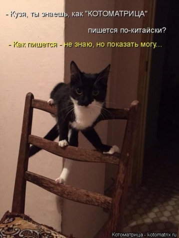 Очередная котоматрица