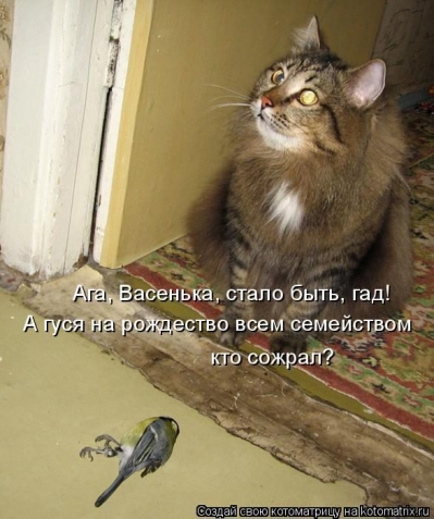 Очередная котоматрица