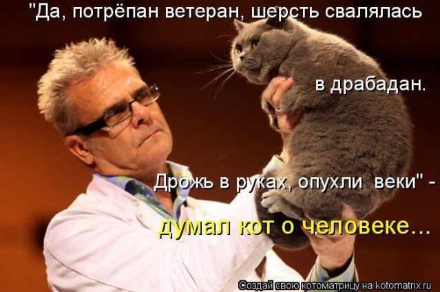 Очередная котоматрица