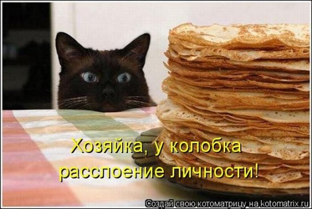 Очередная котоматрица