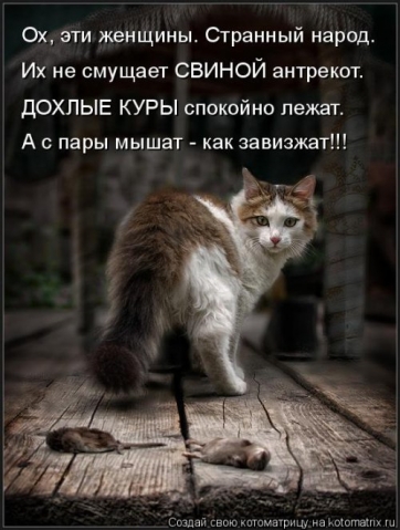 Очередная котоматрица