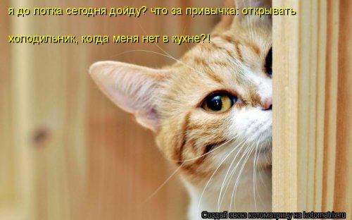 Очередная котоматрица