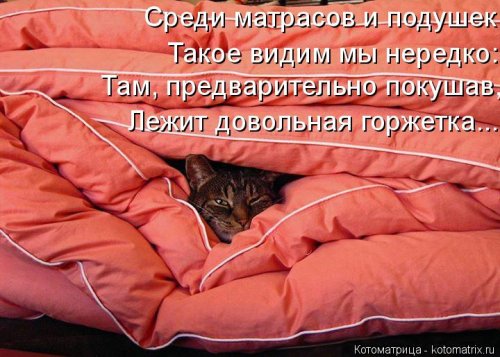 Очередная котоматрица