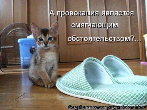 Очередная котоматрица