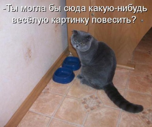 Очередная котоматрица