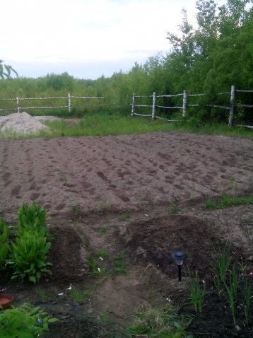 Поездка на природу и дачу подруги