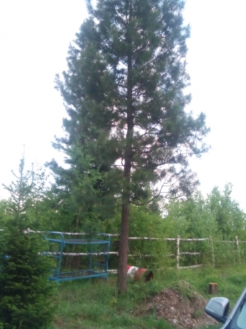 Поездка на природу и дачу подруги