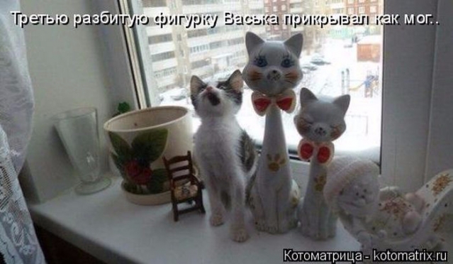 Очередная котоматрица