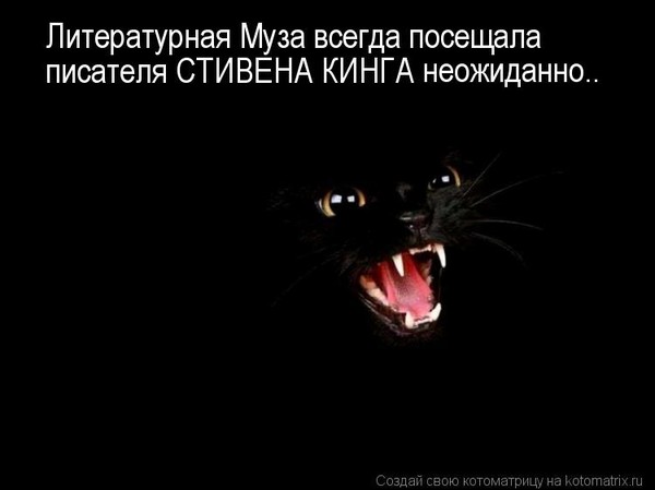 Очередная котоматрица