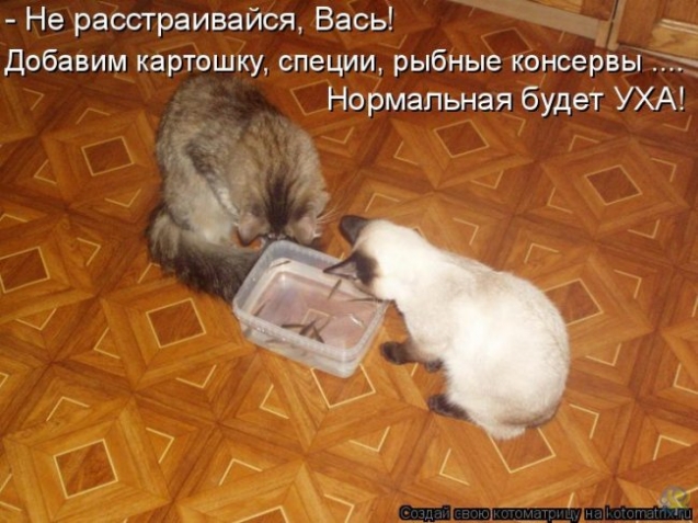 Очередная котоматрица