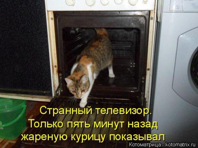 Очередная котоматрица