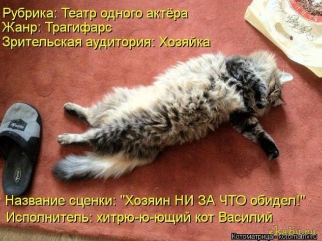 Очередная котоматрица