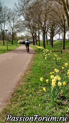 Велосипедная прогулка, или весна в Амстердаме.