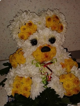 Мишка из живых цветов!!! Мишка из живых цветов!!!