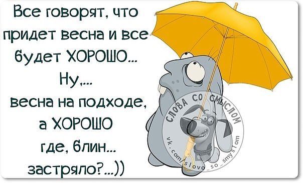 Просто для хорошего настроения.
