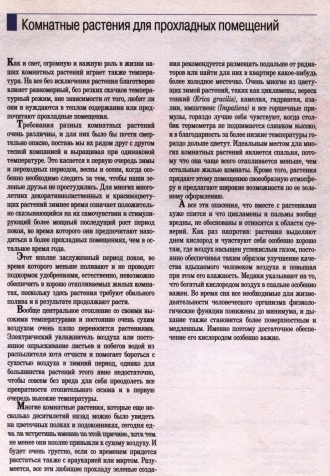 О комнатных цветах