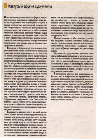 О комнатных цветах