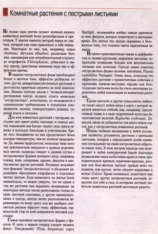 О комнатных цветах