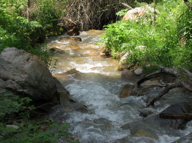 Вода