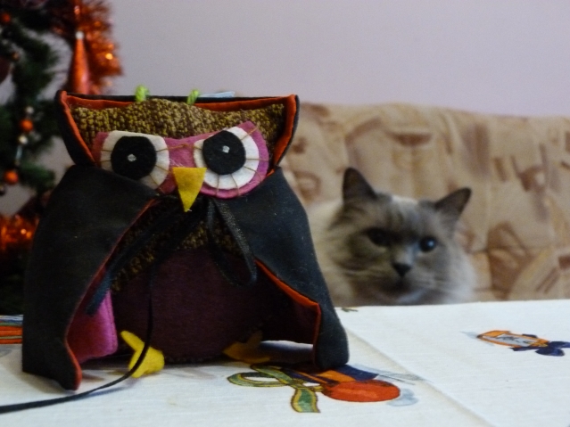Сова... Это, вообще нечто... Ужасно похожа на моего кота... Или мой кот похож на всех сов сразу... :))) Сова... Это, вообще нечто... Ужасно похожа на моего кота... Или мой кот похож на всех сов сразу... :)))