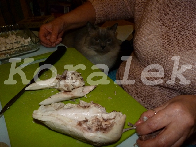 Курочку освобождаем от косточек и режем небольшими кусочками. Ну, куда же на без кота?! Без кота и жизнь не та... Курочку освобождаем от косточек и режем небольшими кусочками. Ну, куда же на без кота?! Без кота и жизнь не та...