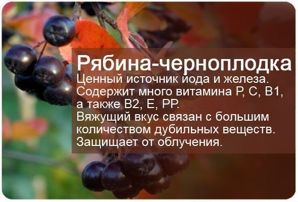 Полезные таблицы. Ягоды, фрукты.