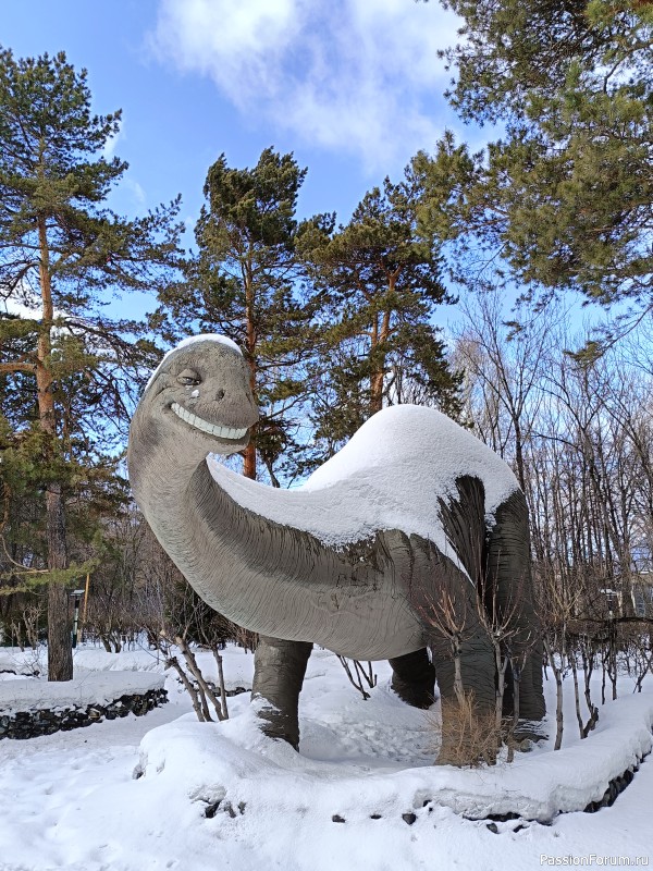 Новосибирск