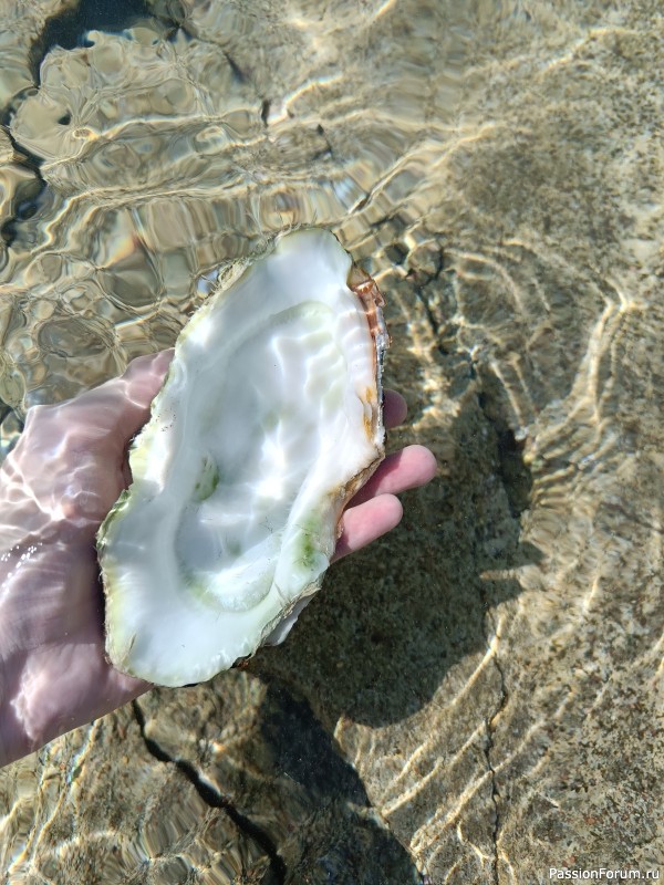 Красное море