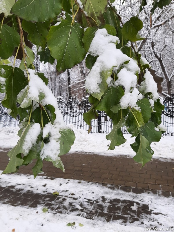 Вот и зима пришла)