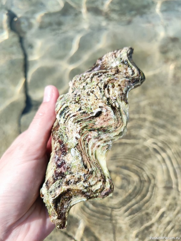 Красное море