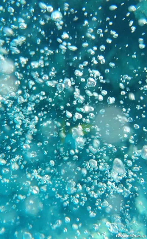 Красное море