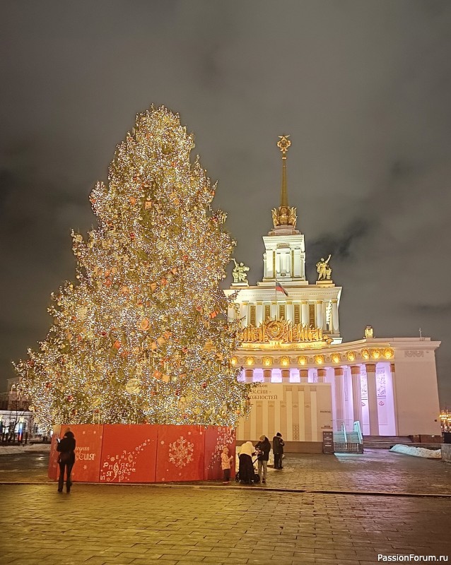 ***Новогоднее путешествие в Москве***