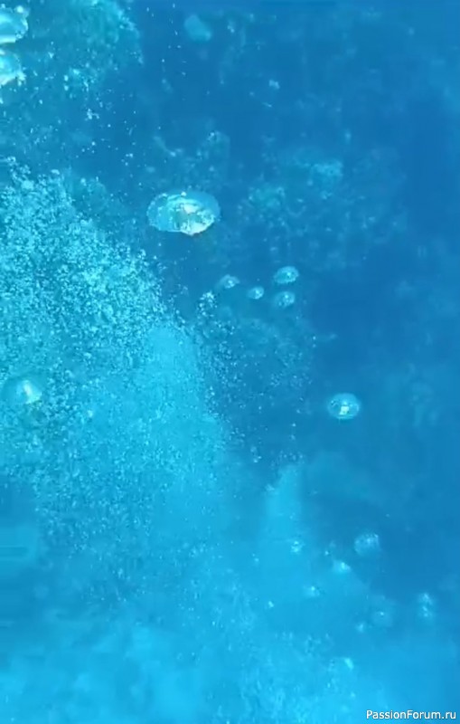 Красное море