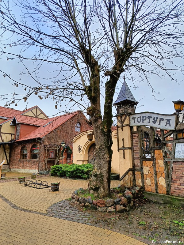 Зеленоградск, Калининградская область