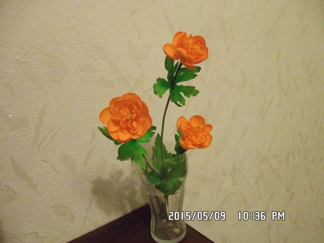 Мои цветочки