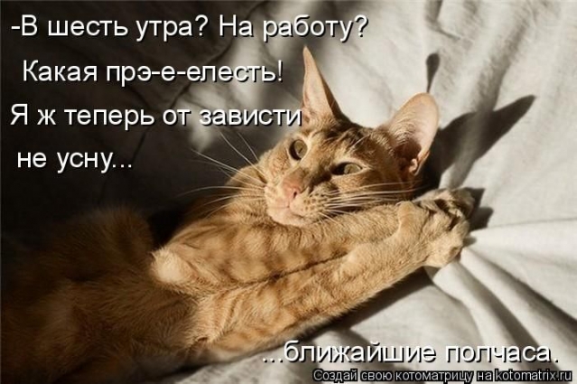 Братья наши меньшие,или СУББОТНЯЯ КОТОМАТРИЦА !