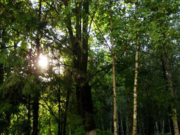 Не было бы счастья, да несчастье помогло!