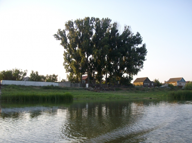 Солнце, лотос, корабли