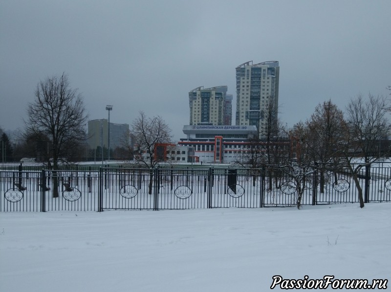 Новогодние каникулы (продолжение)