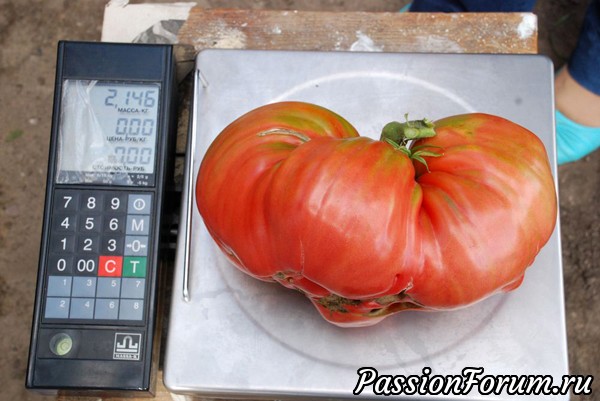 Делюсь радостью)