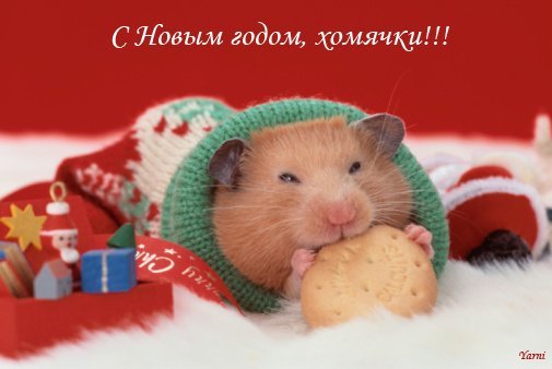 Неожиданность, но приятная!