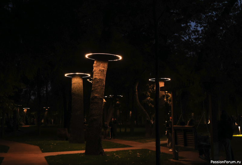 Вечерняя прогулка по парку.