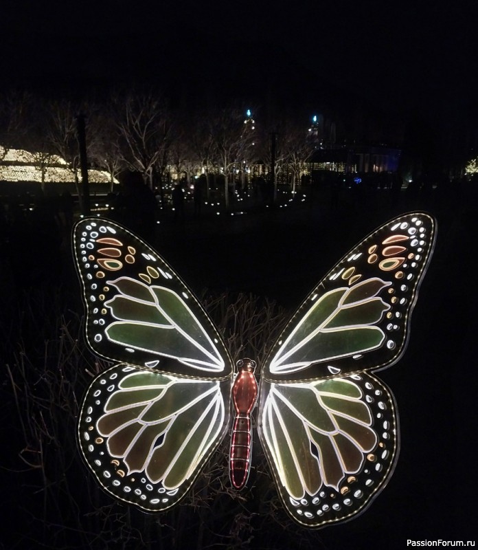 Вечерняя прогулка по парку.