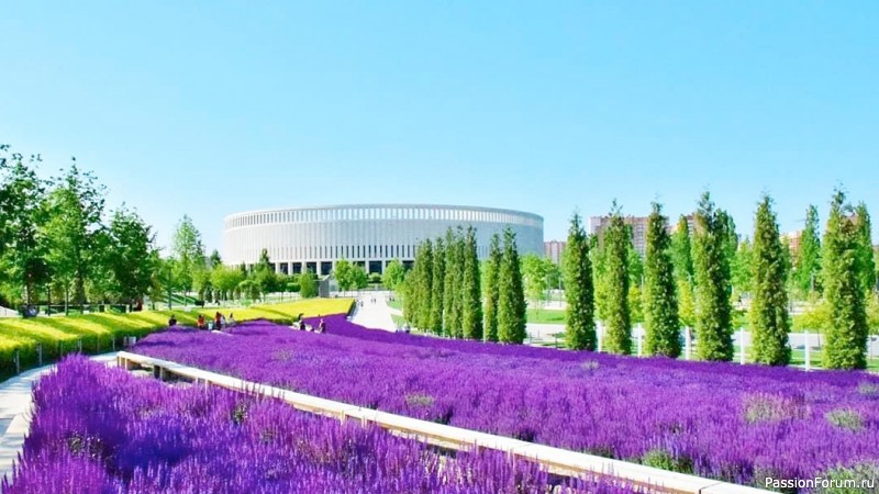 Вечерняя прогулка по парку.